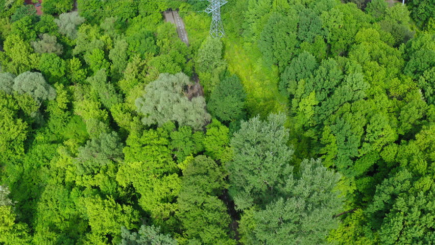 Clean Electricity Concept: metal high-voltage power pole in a green forest among trees on a warm summer day. Eco-friendly electricity. Technology and environmental conservation: energy transmission. | Shutterstock HD Video #1098235695