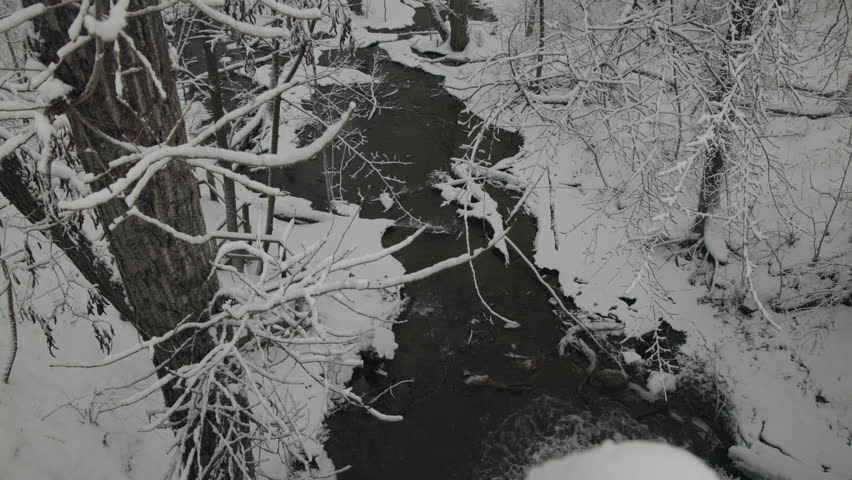 Stream with Running Water in Winter Looking Down Tilt Up of Forest