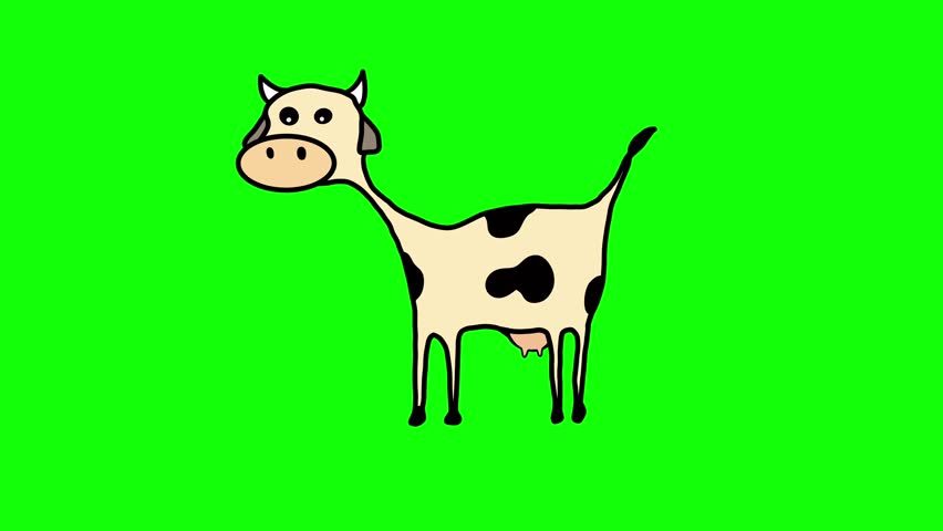 cute cartoon cow green screen.