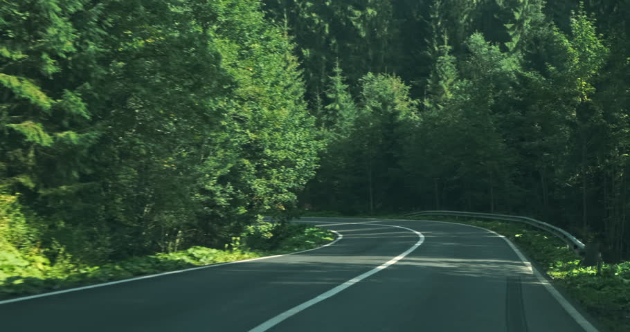 Road moving through spruce forest. Camera driving forward on green countryside mountain road. Pov view motion on landscape woodland trees background. Nature trip, travel. Beautiful natural empty road | Shutterstock HD Video #1098251115