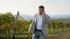 Entrepreneur walking on the edge of his vineyard, on a hill, and talking on the phone. Commercial video. 4K.