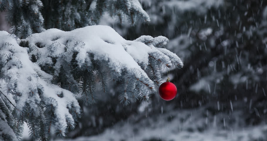 Snow Falling On A Pine Tree With Red Christmas Ball During Christmas Season. - close up