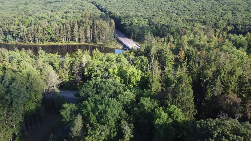 birds eye view to a rural Pennsylvania road in a forest