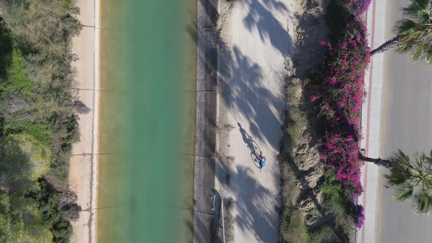 Athlete riding her road bike during workout training on minor road along water canal and palm trees in a suburban area at Costa Blanca, Alicante Spain. Drone footage, birds eye, top down. Slow motion