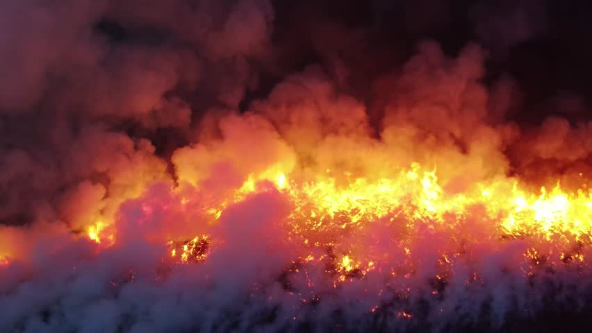 Wild fire in spring aerial. wildfire smoke, air pollution. European wildfires in spring. critical fire season. natural disasters. intense and dangerous wildland fire, big forest fire, crown fires | Shutterstock HD Video #1098266947