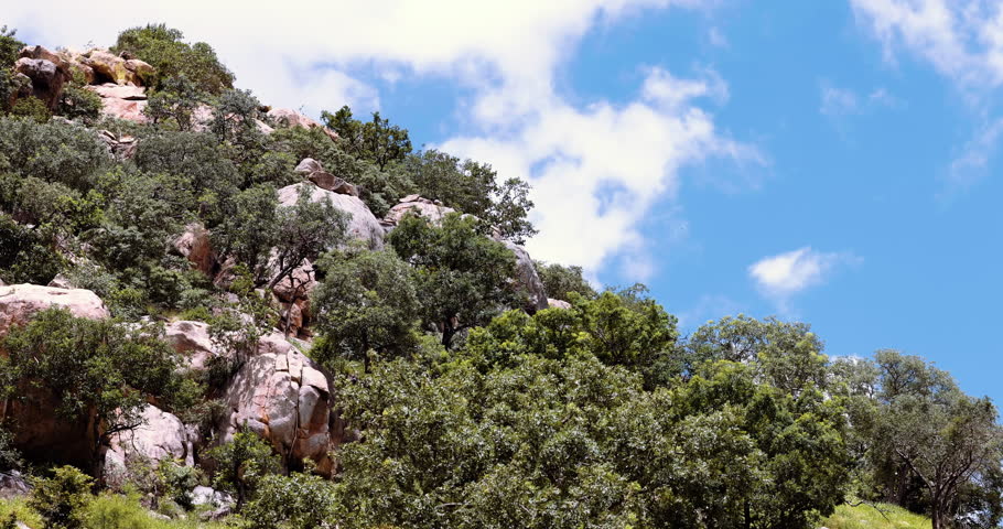 Beautiful hilly rock formations showing stunning landscape, Kruger National Park. South Africa National park background. High quality 4k footage