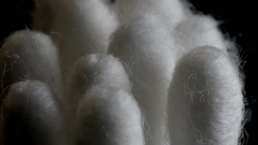 Clean white cotton swabs for the ears. Plastic with cotton head. macro photography. Slow motion close-up | Shutterstock HD Video #1098291919
