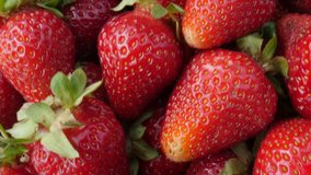 Fragaria  ananassa arranged on table tasty red dessert background 4K 2160p UltraHD tilt footage - The garden strawberries fresh tasty fruit tilting 4K 3840X2160 UHD video