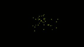 Swarm of fireflies. Isolated flying insects. Overlay. Black background. 25fps