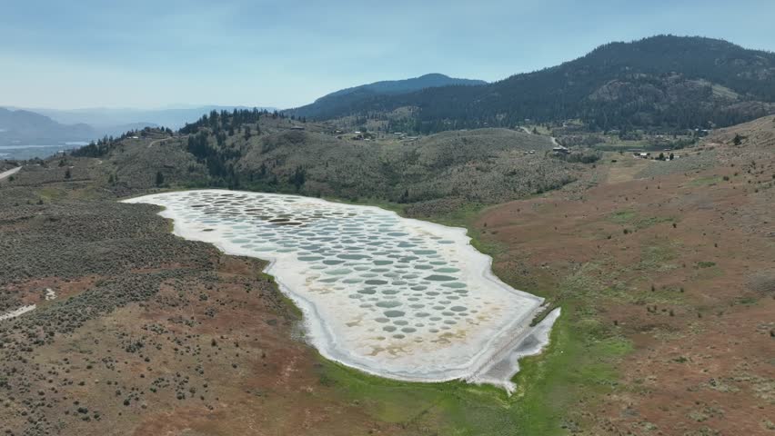 Aerial view of Spotted Lake, saline, alkaline lake located in Osoyoos in heart of valley in British Columbia, Canada