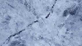 4K Aerial Video of Northern Nature Forest in Winter After Snowstorm.