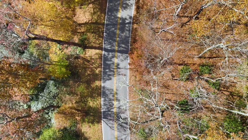 Top view of empty scenic forest road in Great Smoky Mountains winding between yellow woods in fall season. Traveling thru Blue Ridge Parkway in North Carolina Appalachians