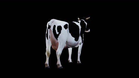 91 Calf Cow Cartoon Stock Video Footage - 4K and HD Video Clips | Shutterstock 91 Calf Cow Cartoon Stock Video Footage - 4K and HD Video Clips | Shutterstock