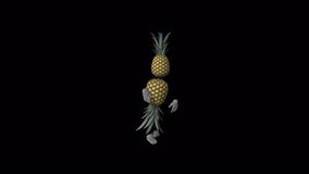 Cartoon Pineapple Dance V , Animation.Full HD 1920×1080. 28 Second Long.Transparent Alpha Video.
