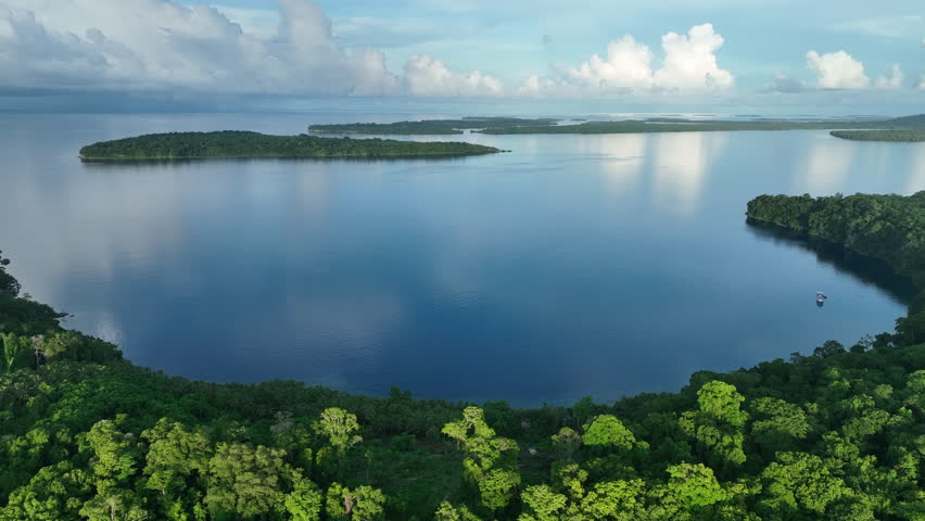 Lush jungle on a remote tropical island is fringed by a coral reef in the Solomon Islands. This beautiful country is home to spectacular marine biodiversity and many historic WWII sites.