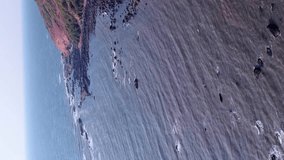 Vertical video of Aerial shot of coast with red soil, some bushes over it and rocky beach