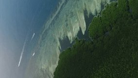 Vertical video of Aerial shot of mangroves surrounded by shallow reef