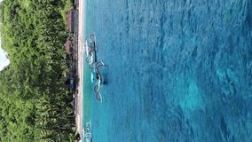 Vertical video of Aerial shot of palm trees, beach and turquoise water