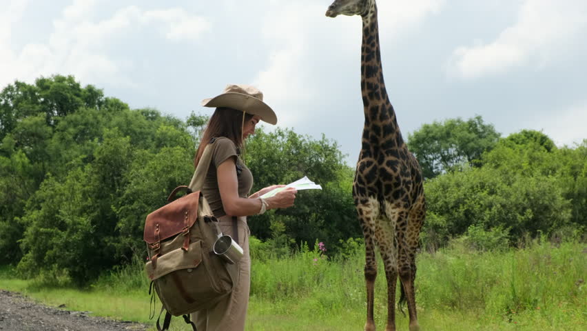 Young traveler woman looking at map. Young hiker traveling and hiking alone, female using map and wearing backpack. Summer tourism, wild nature. woman traveler with a backpack stands near a giraffe