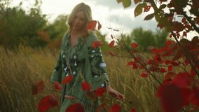 View of beautiful woman, walk through wheat field at dawn, autumn comes with red leaves. Romantic, enigmatic silhouette, green embroidered dress. Sunset out of the city. High quality 4k