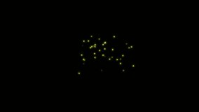 Swarm of fireflies. Isolated flying insects. Overlay. Black background. 23,98fps
