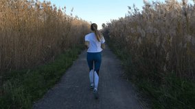 Young fit caucasian female athlete running on the gravel road in reeds at the sunset time. Recreational fitness jogging, cardio activity workout. Back view follow camera video. Slow motion footage 4k