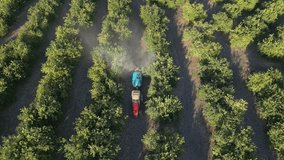 Aerial view of a tractor spraying or fertilizing pesticide into citrus trees orchard field. European countryside landscape, farmland. agricultural landscape drone video footage. Slow motion.