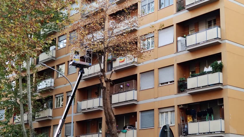 Service workers cutting down big tree branches with chainsaw from high chair lift crane platform. Deforestation and gardening concept | Shutterstock HD Video #1098361805