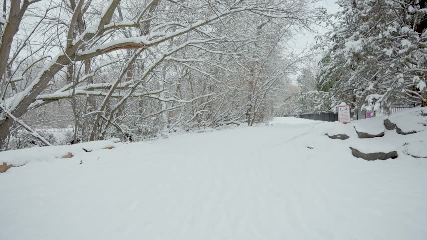 View of a park pathway surrounded by trees covered in snow.