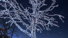 White light Illuminated tree with lightbulbs for Christmas winter season at night. Tilt-up - Powered by Shutterstock - Get 15% off with code: PIKWIZARD15