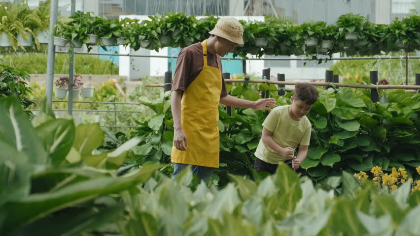 Little boy helping his father to hang potted plants, working together at plant nursery in springtime Royalty-Free Stock Footage #1098369369