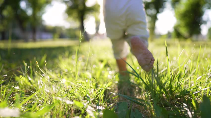 Boy kid run on grass in summer in park. Feet close up on green grass in sun. Kid dream in nature. Children play in the park on vacation. Active child jogging on a picnic in summer in a park in nature | Shutterstock HD Video #1098372119