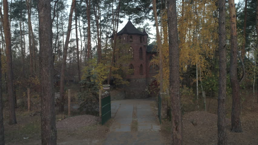 Scenic cottage in the woods. Aerial drone view.