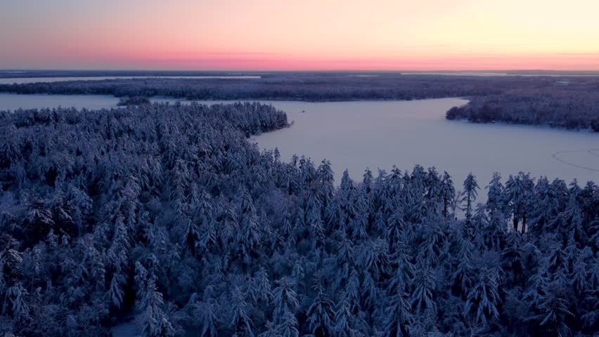 Winter snowy treetops, Minnesota frosty landscapes