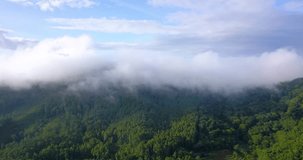 Aerial footage of forest on the hill that shrouded by mist. Rain forest of Indonesia