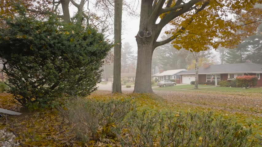 Leaves falling from trees in Slow Motion along an Early Autumn morning.