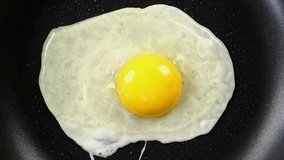 Preparation fried eggs in frying pan for breakfast on electric stove on domestic or restaurant kitchen. Raw broken chicken egg falls into hot skillet. Top view. Vertical video. Close-up. - Powered by Shutterstock - Get 15% off with code: PIKWIZARD15