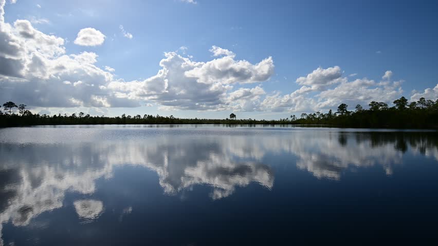 Time lapse of bright afternoon cloudscape reflected in tranquil water of Pine Glades Lake in Everglades National Park, Florida 4K.