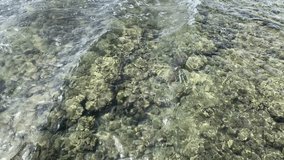 4k video of corals in the sea near the beach