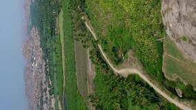 Vertical video of Aerial shot of banana plantations with coconut trees, hills in background