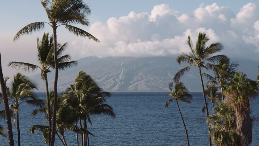 Scenic view from Wailea beach with Palm Trees towards West Maui Mountains and wind Farm, Hawaii, Panorama