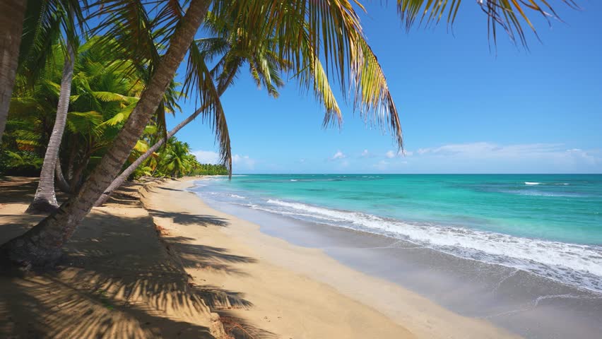 Turquoise ocean waves on the yellow sand of an Indian beach. Landscape of a tropical island with palm trees. Bright nature of the summer seaside resort. Relaxation by the sea. Cruise. | Shutterstock HD Video #1098424079