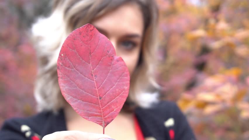 Slow Motion beautiful girl with a yellow maple leaf, autumn portrait, autumn moo