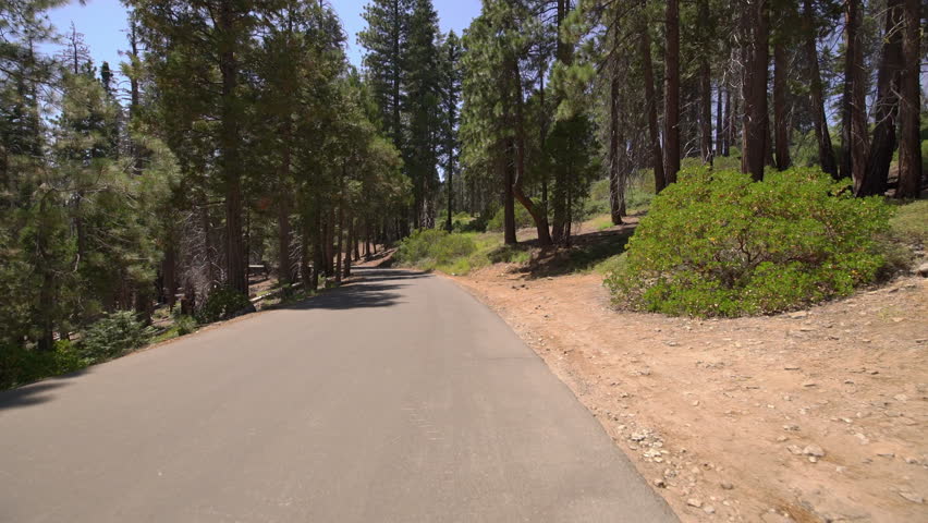 Sequoia National Park Driving Plate Rear View Crescent Meadow Rd Westbound 01 Sequoia Forest In Sierra Nevada Mts California