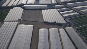 Aerial video of multiple farmers greenhouses covered by white plastic film фтв plowed field from top down perspective. Aerial drone video top down view forward direction. - Powered by Shutterstock - Get 15% off with code: PIKWIZARD15