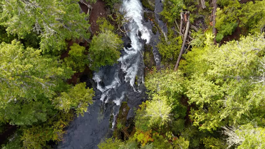 Aerial shot of the amazing Koosah Falls and lush moss covered forest on the McKenzie River in Oregon.