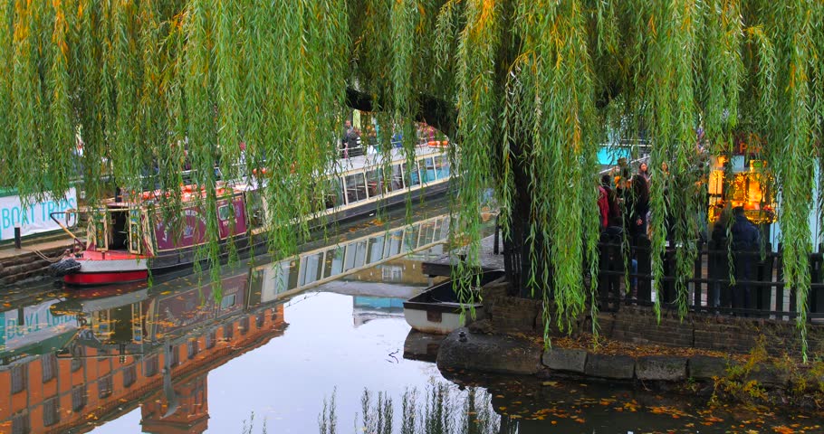 Willow Tree At Camden Lock With People Hanging Out On The Canalside Of Regent's Canal Afterwork In London, UK. - wide Royalty-Free Stock Footage #1098436521