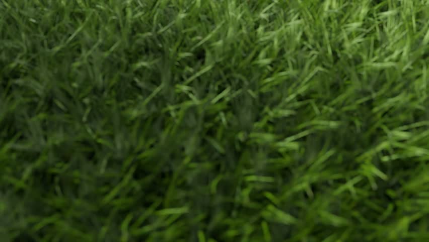 football helmet and football on grass and stadium with copy space