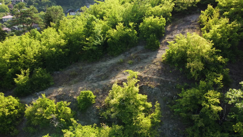 A white man sportsman in a t-shirt and shorts running up the green hill path. Several houses in the background. Long shot drone top view. Daytime