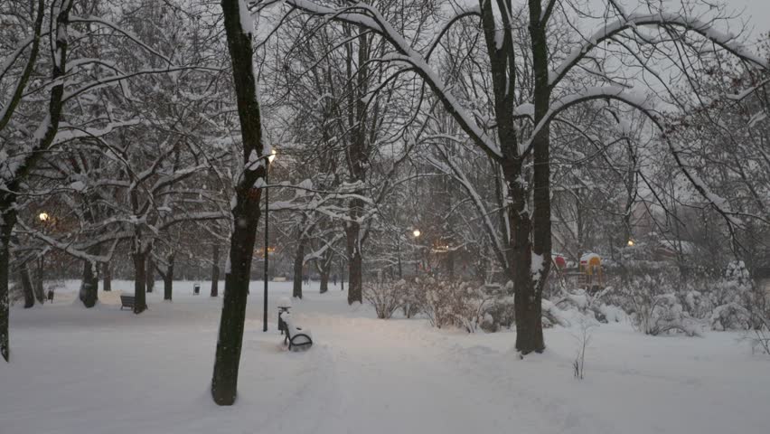 In the evening park in winter. Street lights, lantern and nobody.